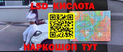 дмт Аргун