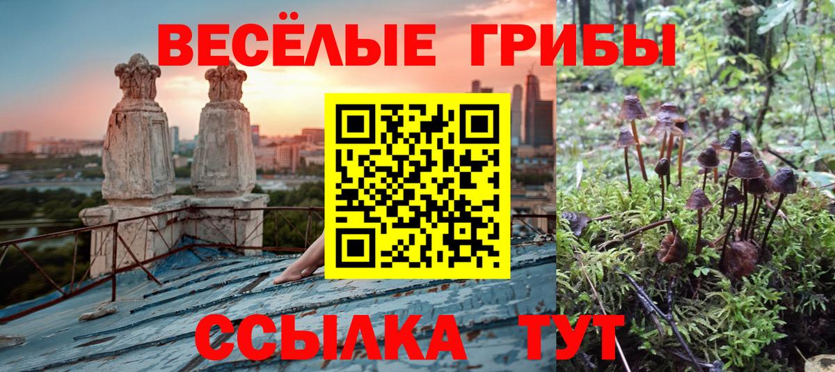Псилоцибиновые грибы Psilocybine cubensis Волгоград