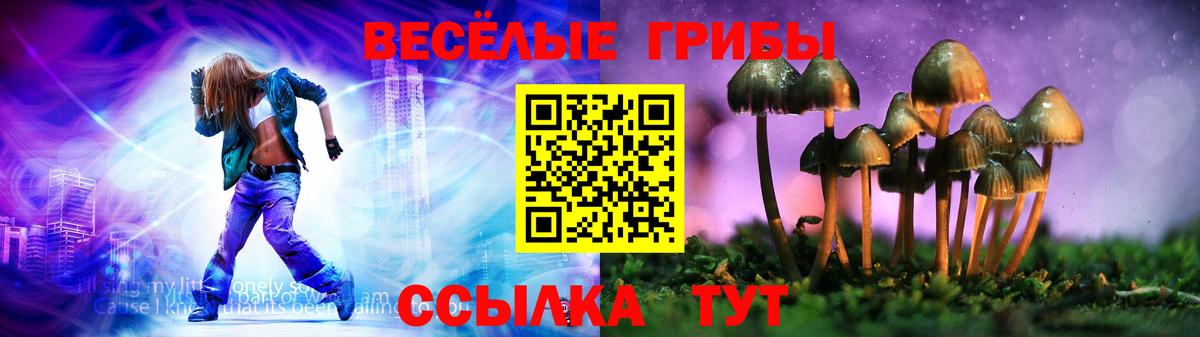Псилоцибиновые грибы Magic Shrooms  Вход с VPN  Волгоград  Галлюциногенные грибы Cubensis 