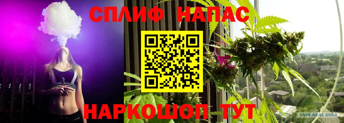 Волгоград  Бошки Шишки сатива  Вход с VPN  Каннабис семена  Конопля Bruce Banner  Марихуана AK-47 